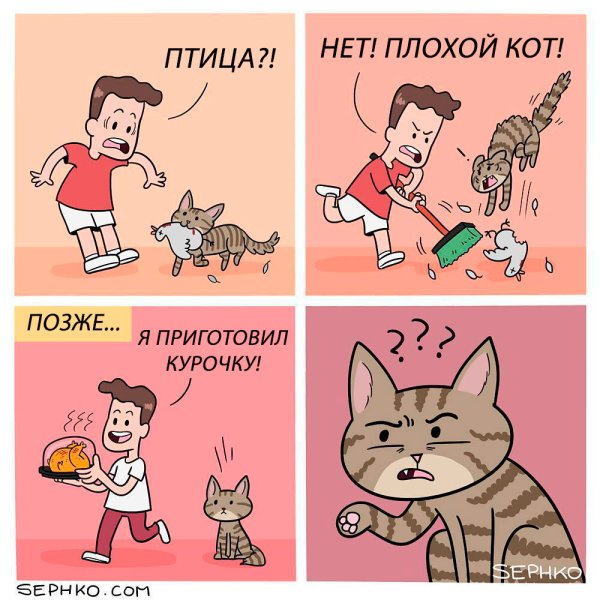 Смешные мемы про котов