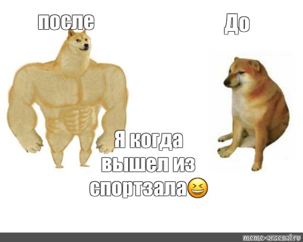Накаченная собака Мем