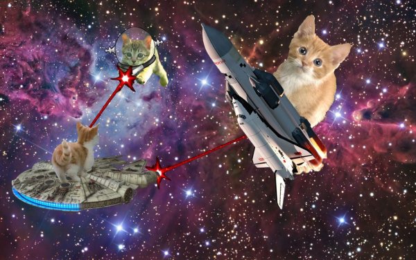 Космический кот