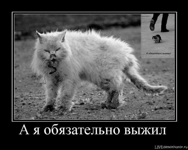 Я обязательно выжиживу