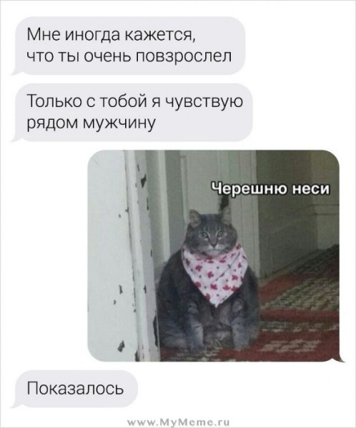 Толстый кот неси черешню
