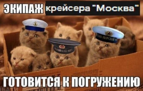 Мем про котят экипаж подводной лодки