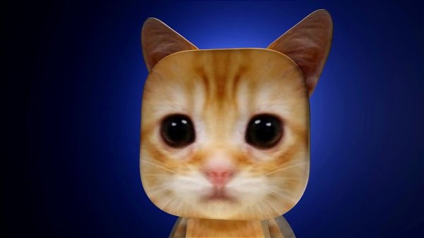 Эль Гато кот