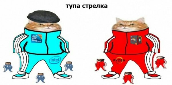 Кот в спортивках