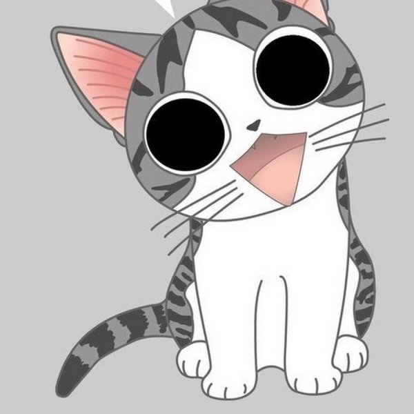 Анимешные котики