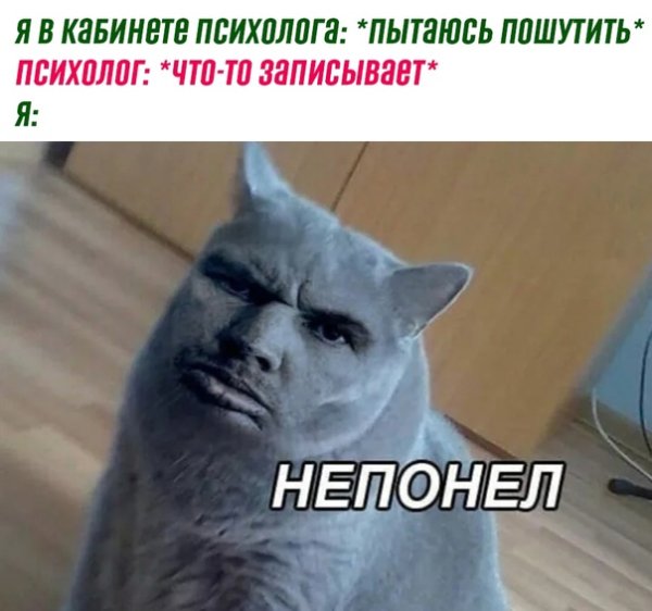 Кот загрузка Мем непонел