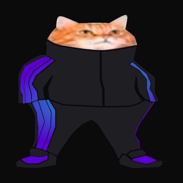 Кот в адидасе для авы