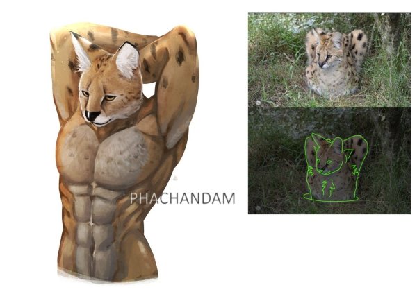 Животные с бицухой