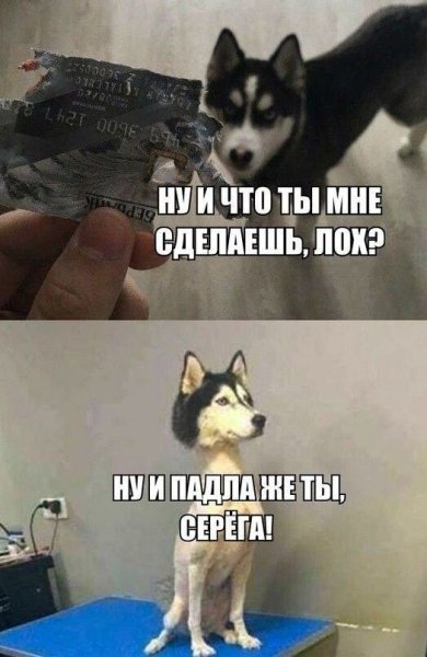 Ну и что ты мне сделаешь