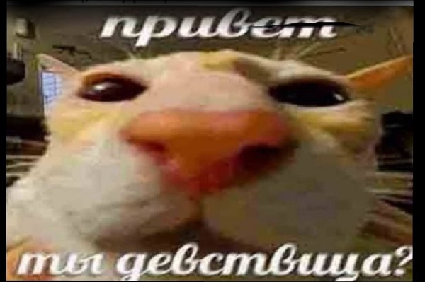 Привет ыт девственница Мем