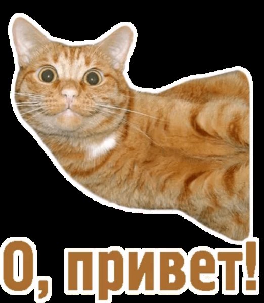 Стикеры приветствия прикольные