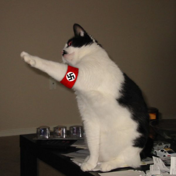 Кот фашист