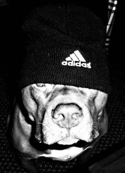 Овчинников Андрей Нижний Тагил