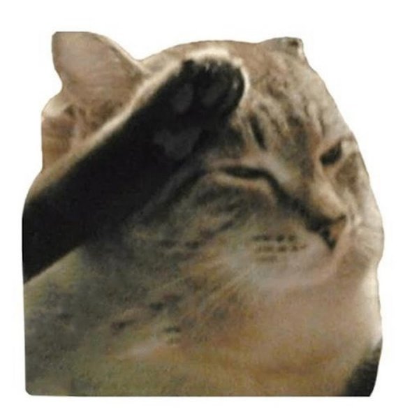 Кот отдаёт честь задней лапой