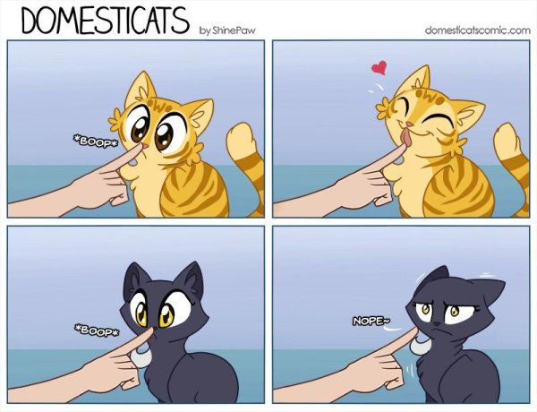 Комикс про кота