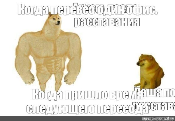 Собака силач