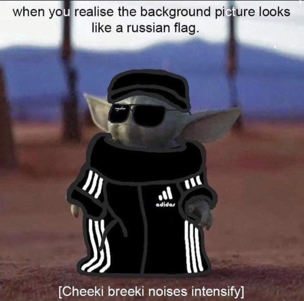 Собака гопник в костюме адидас