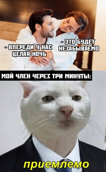 Допустимо Мем с котом