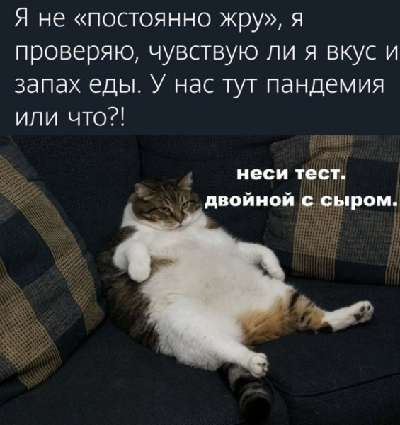 Шутки про черешню