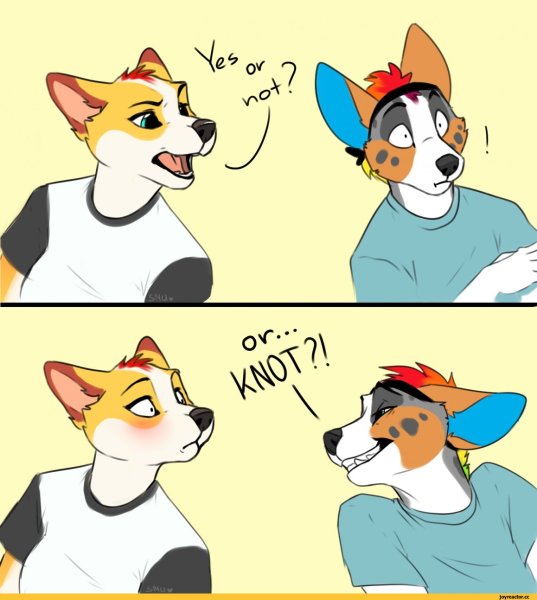 Смешные фурри мемы