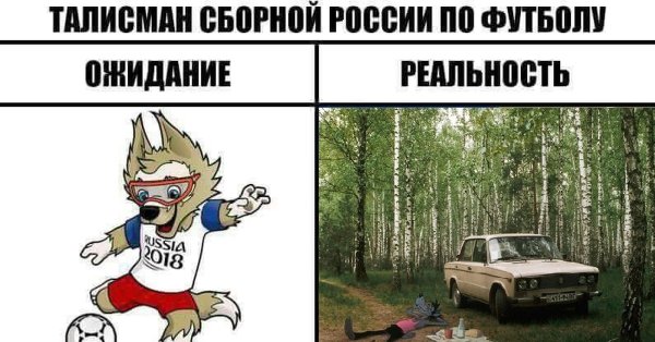 Волк Забивака прикол