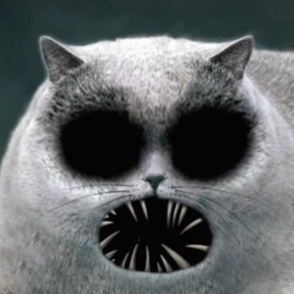 Флэпджек кот скример