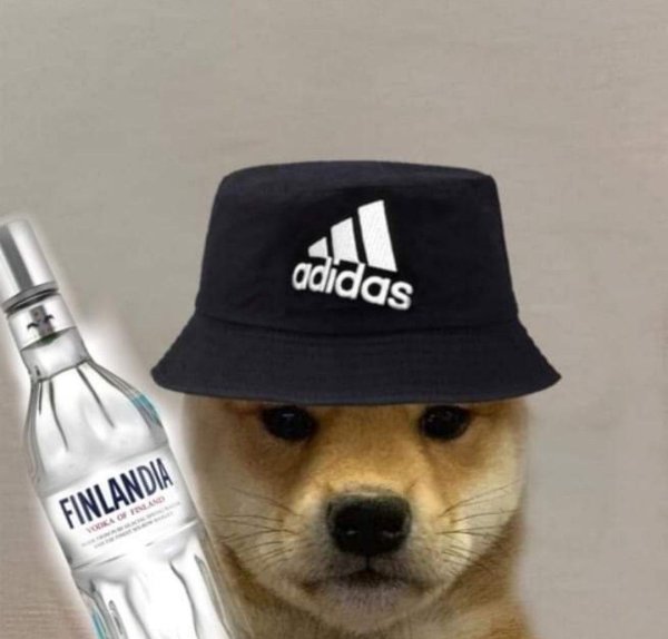 Собака рэпер