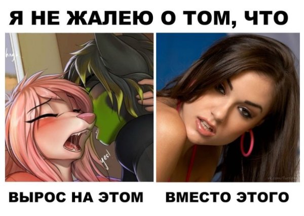 Фурии приколы