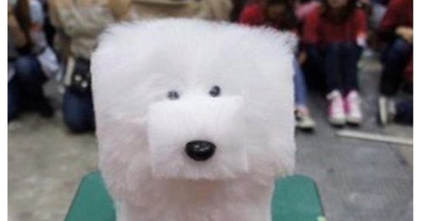 Стрижка собаки квадрат