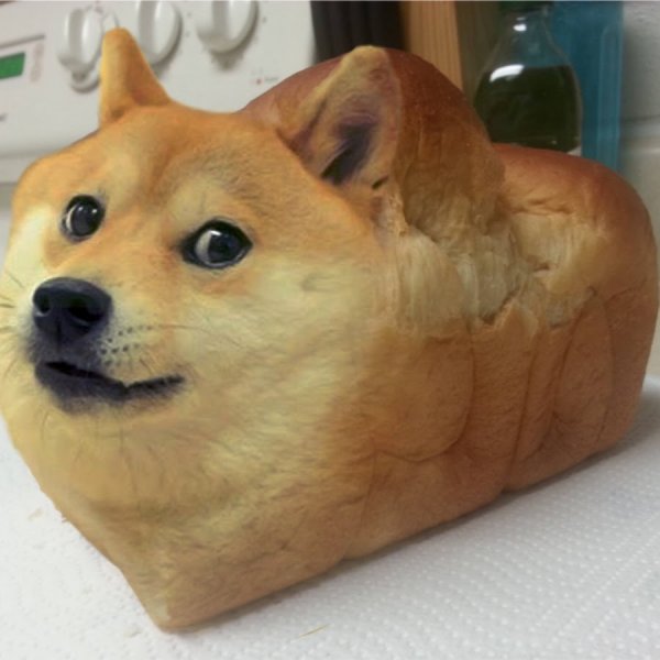 Шиба ину хлеб