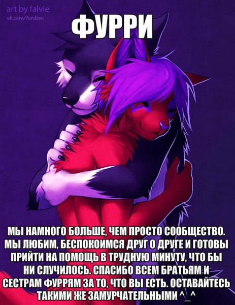 Фурри мемы