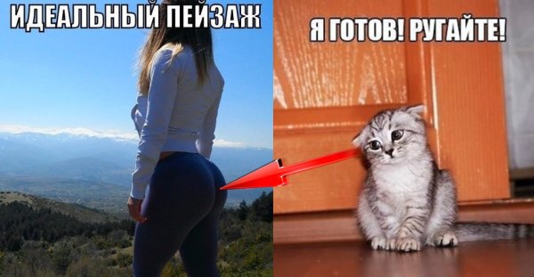 Я готов ругайте меня