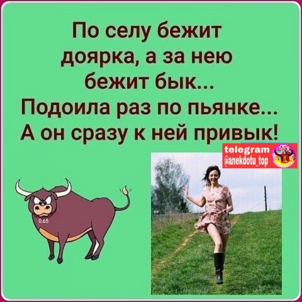 Смешные анекдоты в картинках с надписями