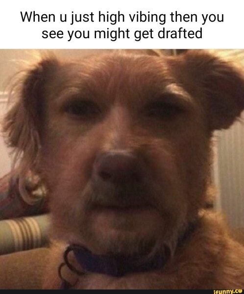 Собкас человеческим лицом.