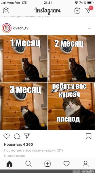 Мемы про кота пора