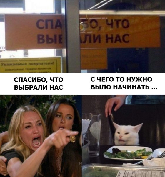 Орущий кот