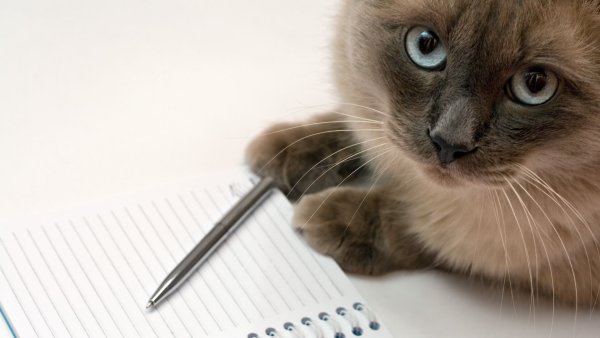 Пора подавать показания счетчиков Мем