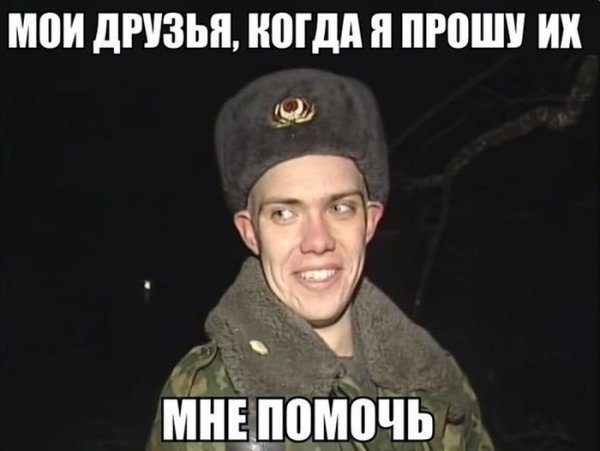 Солдат спас кота