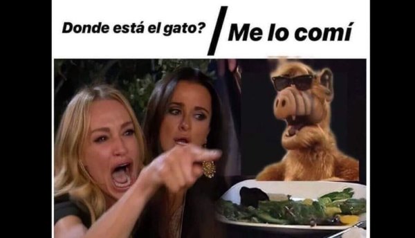 Популярные Мем с двумя бабами и котом