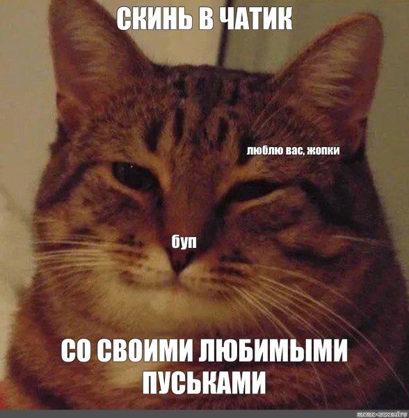 Мемы с котом ухмылка