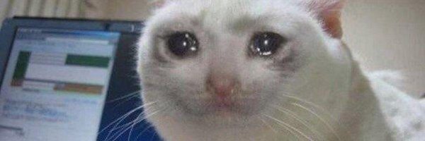 Мем с плачущим котом