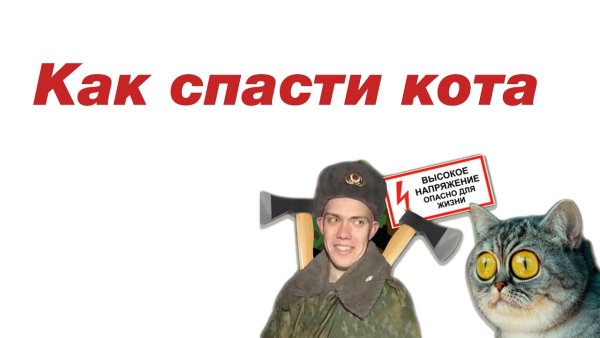 Солдат спасает кота