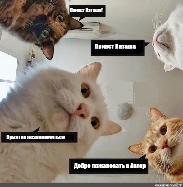 Мемы про Наташу