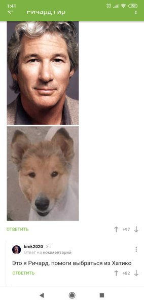 Ричард Гир и колли