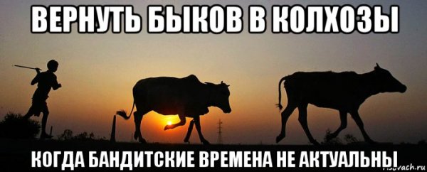 Год быка мемы