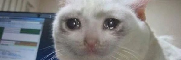 Плачущий кот из мема