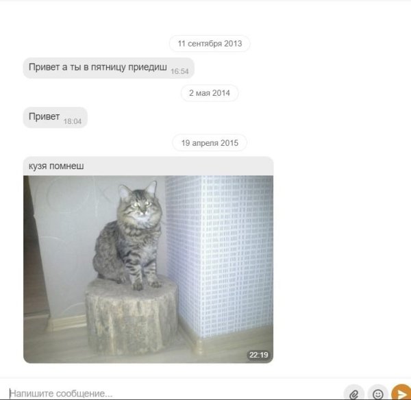 Привет Кузя помнишь