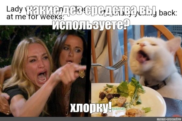 Мем кот и женщина кричит