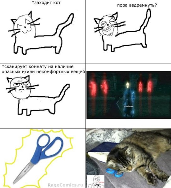 Мемы с котами комиксы