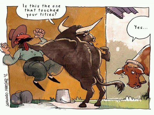 Шутки про коров